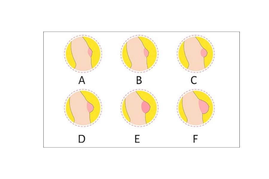 Cúp ngực sẽ tùy thuộc vào kích thước vòng 1 của mỗi người