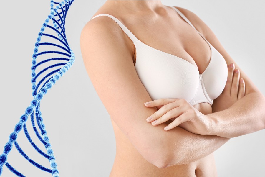 Gen di truyền có tầm ảnh hưởng đến kích thước và hình dáng ngực