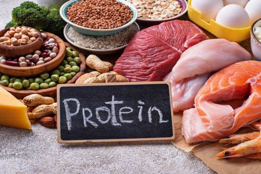 Việc ăn gì để mông to liên quan mật thiết đến lượng Protein nạp vào 