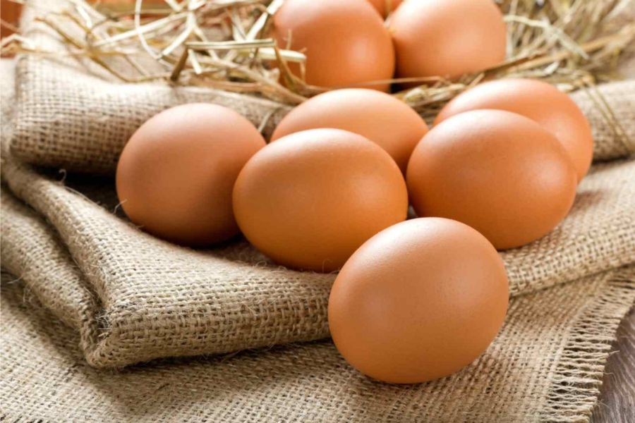 Trứng gà là nguồn protein lành mạnh hàng đầu trong các loại thực phẩm